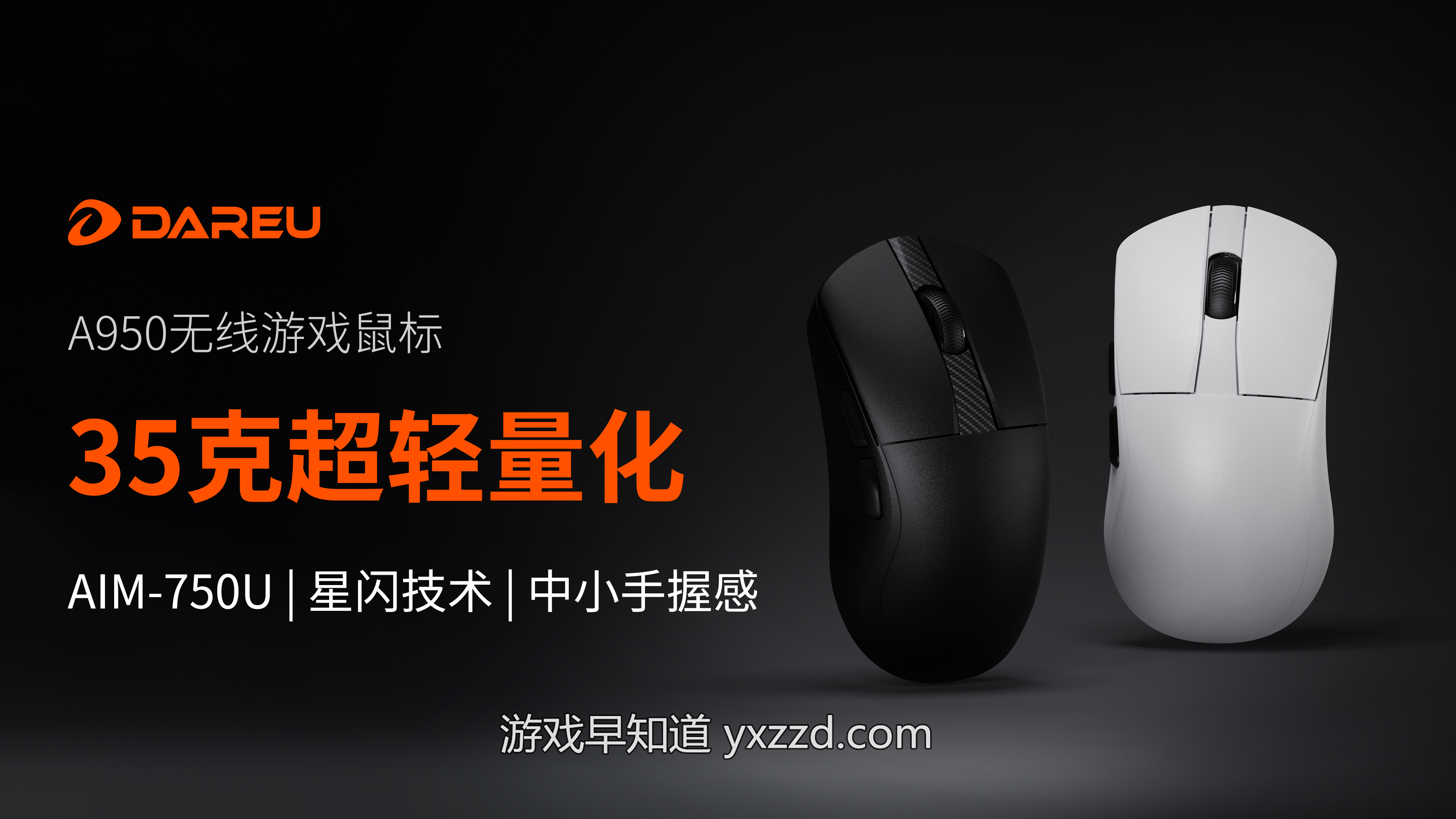 徽标低可信度描述已自动生成
