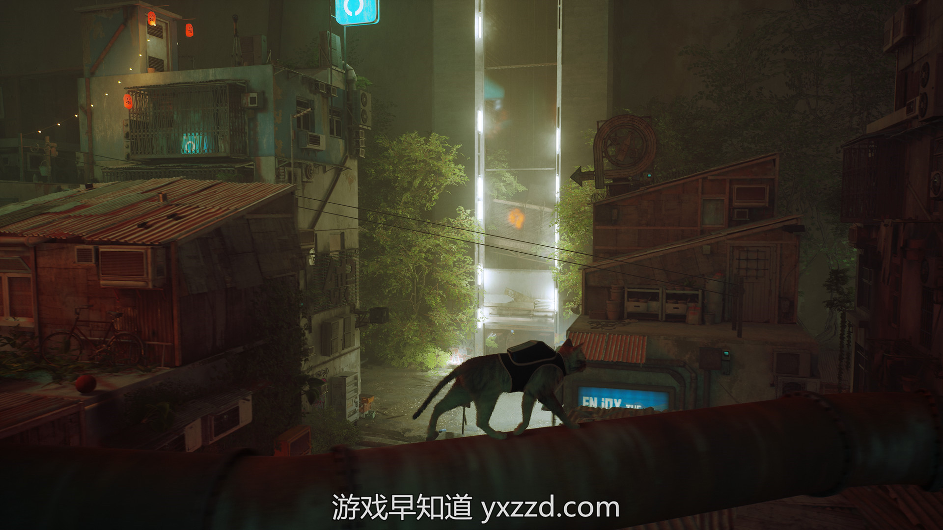 Stray for ios download free
